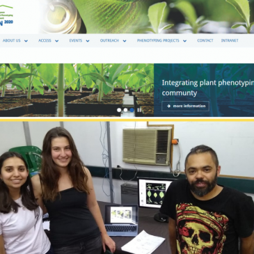 Investigador en CEFOBI obtiene financiamiento internacional para caracterizar plantas con mayor rendimiento fotosintético