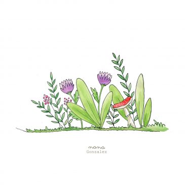 18 DE MAYO. SEXTA EDICIÓN INTERNACIONAL DEL DÍA DE LA FASCINACIÓN POR LAS PLANTAS.