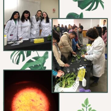 CIENCIA Y SOCIEDAD